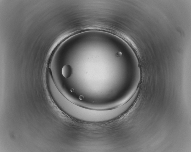 X0000110911138200906181337