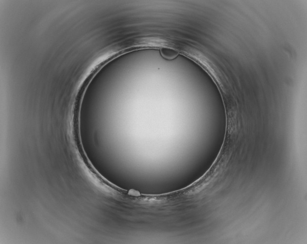 X0000110911139200906181337