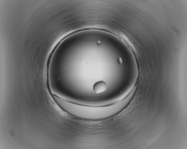 X0000110911140200906181337