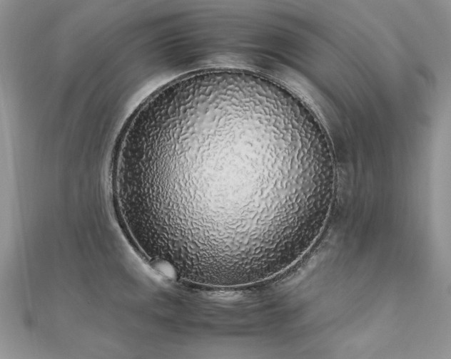 X0000110911141200906181337