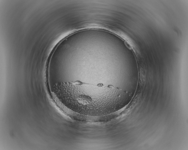 X0000110911142200906181337