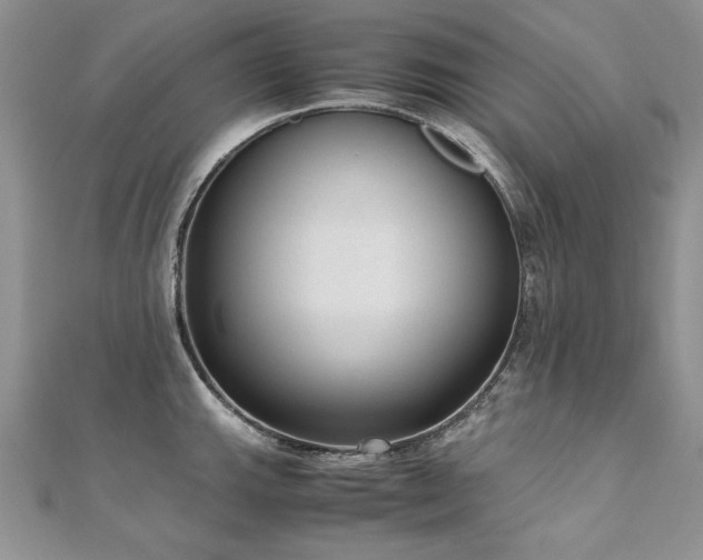 X0000110911143200906181337