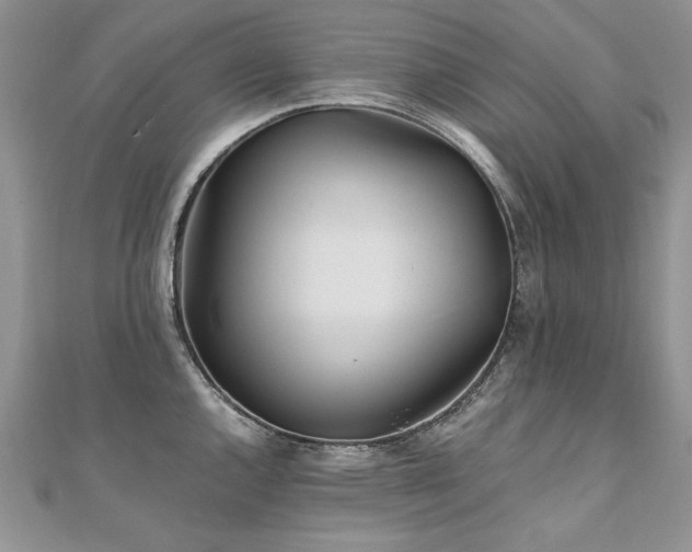 X0000110911144200906181337