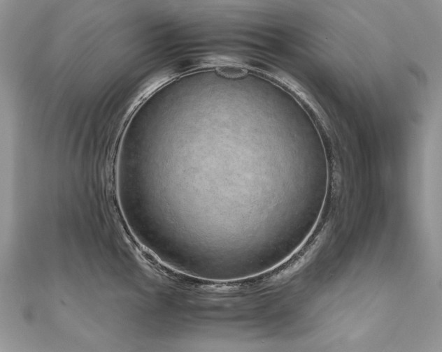 X0000110911145200906181337