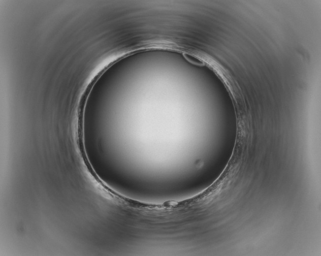 X0000110911147200906181337