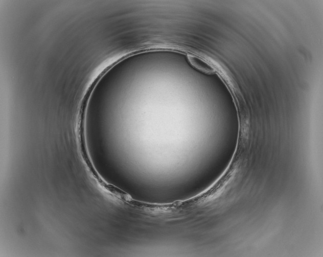 X0000110911149200906181337