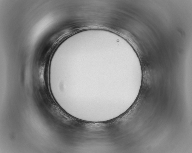 X0000110911150200906181337