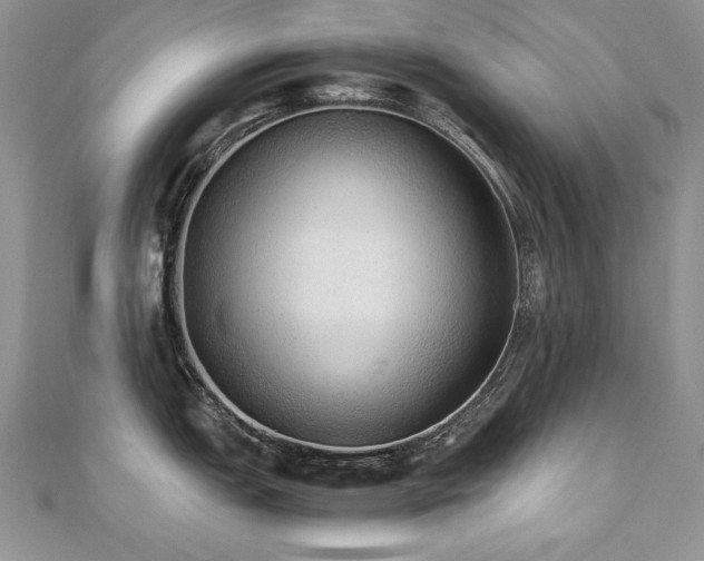 X0000110911151200906181337