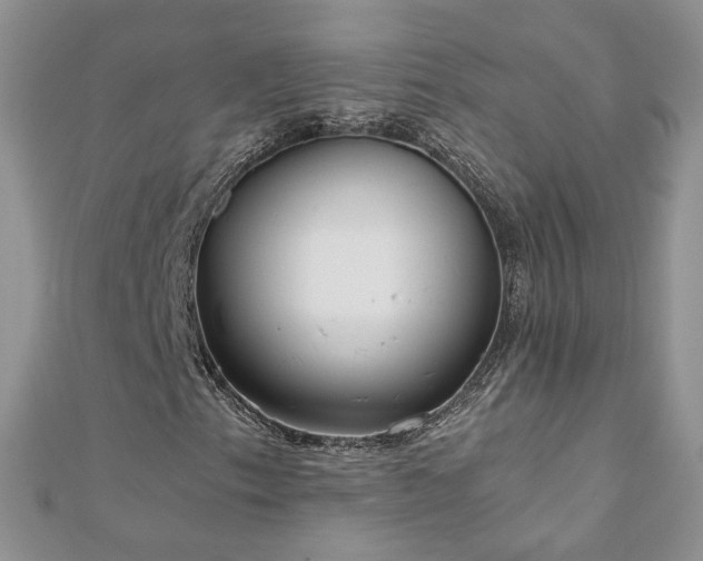 X0000110911153200906181337