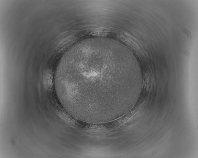 X0000110911154200906181337