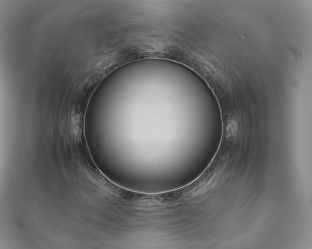 X0000110911156200906181337