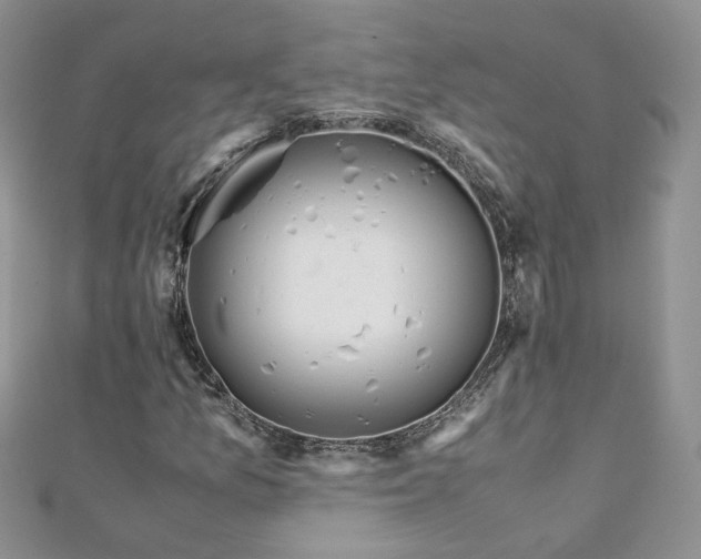 X0000110911157200906181337