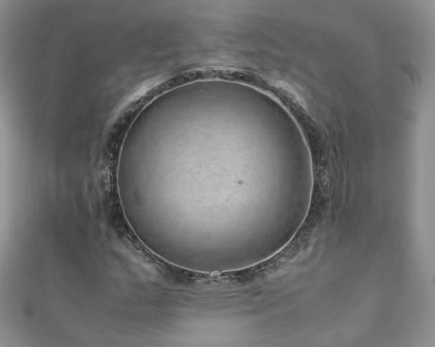 X0000110911159200906181337