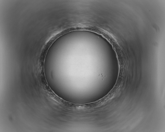 X0000110911160200906181337