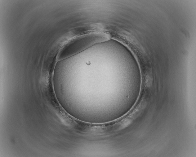 X0000110911161200906181337