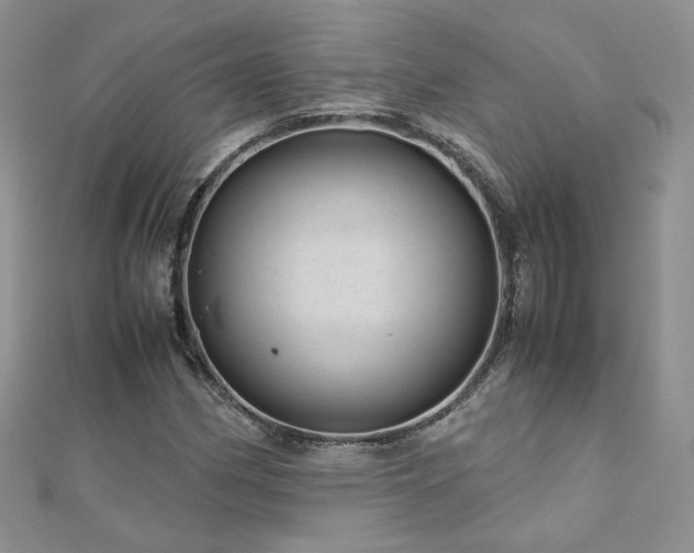 X0000110911162200906181337