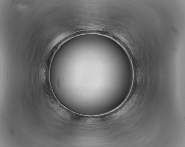 X0000110911163200906181337