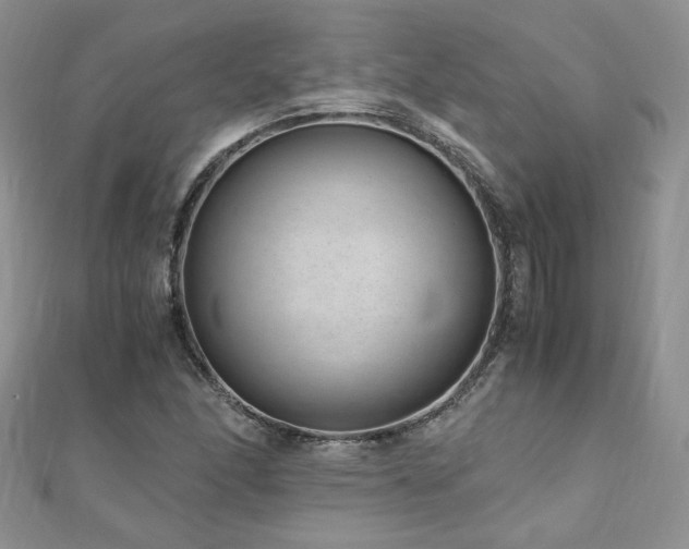 X0000110911166200906181337