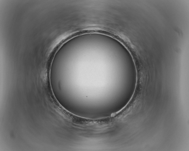 X0000110911167200906181337