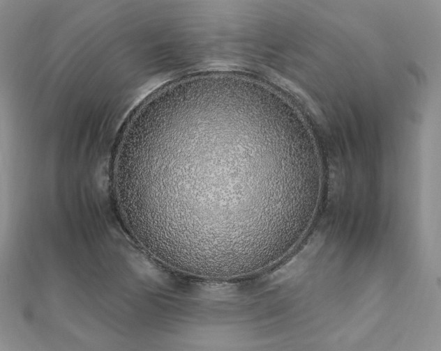 X0000110911170200906181337