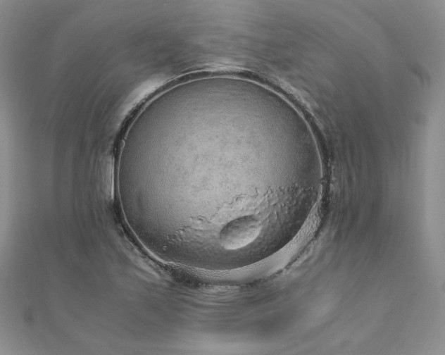 X0000110911171200906181337