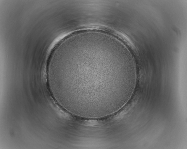 X0000110911172200906181337