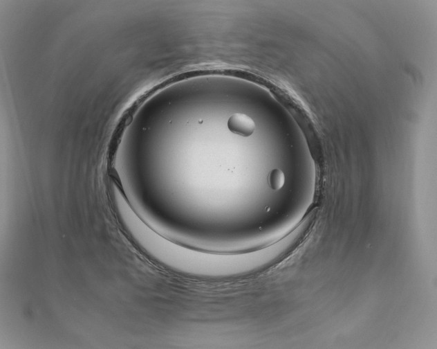 X0000110911173200906181337