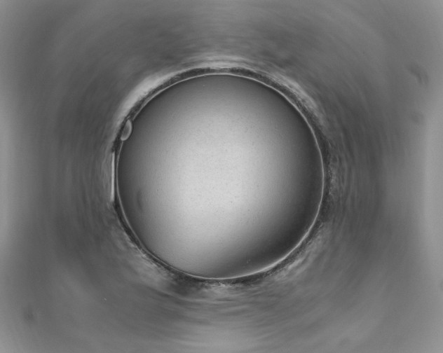 X0000110911175200906181336