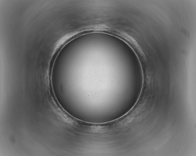 X0000110911176200906181336