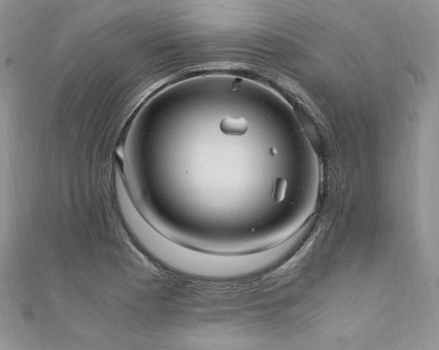 X0000110911177200906181336