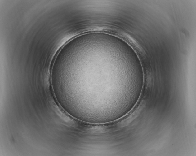 X0000110911178200906181336