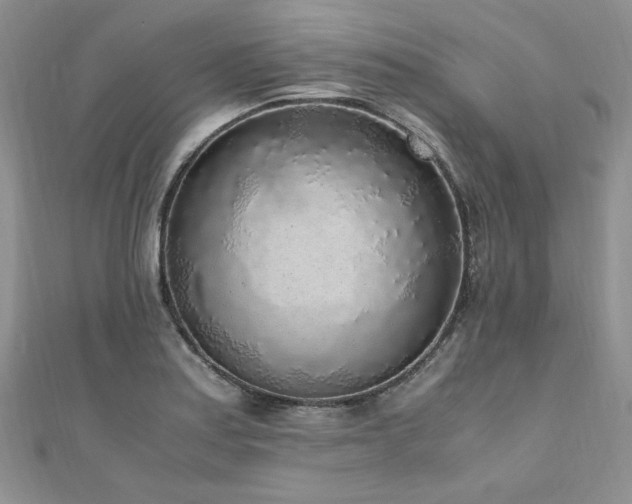 X0000110911179200906181336