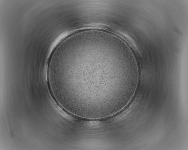 X0000110911180200906181336