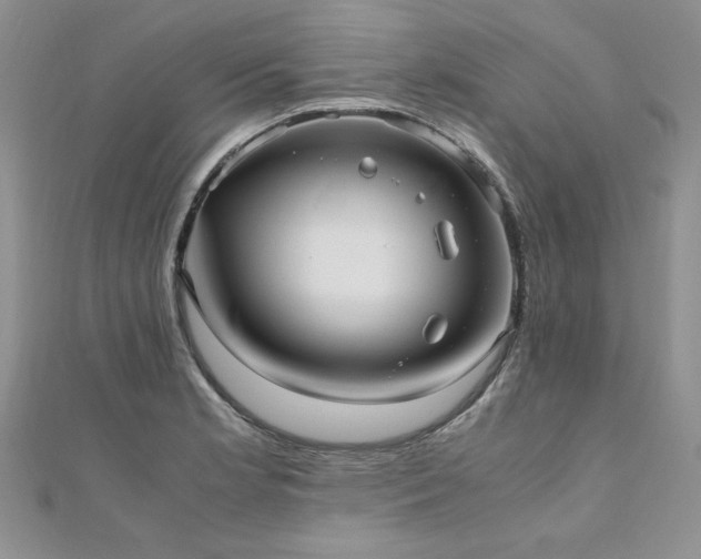 X0000110911181200906181336