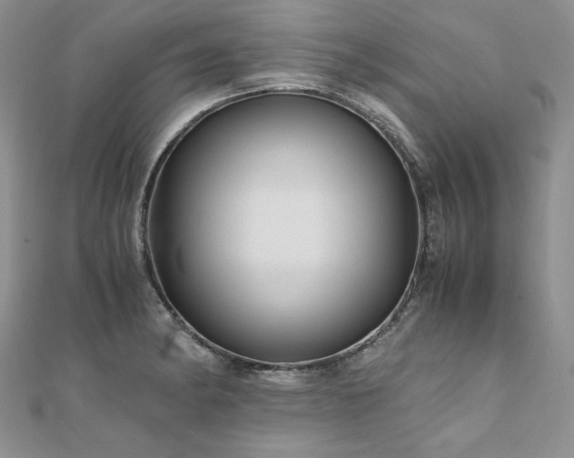 X0000110911182200906181336