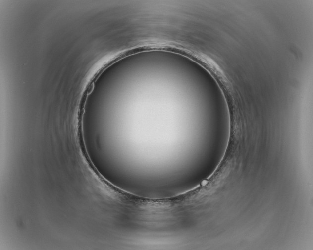 X0000110911183200906181336