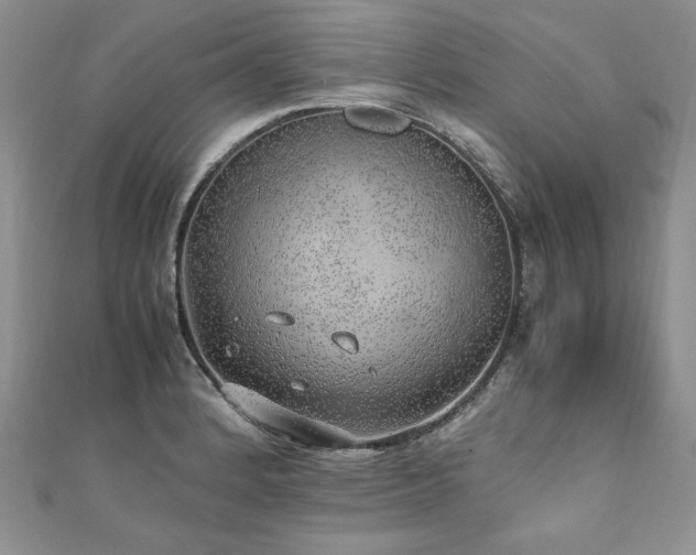 X0000110911184200906181336