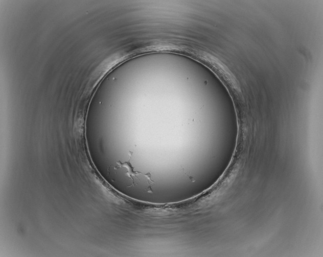 X0000110911185200906181336