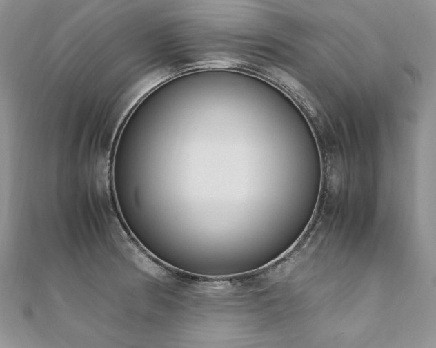 X0000110911186200906181336