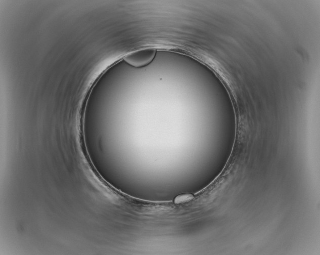 X0000110911187200906181336