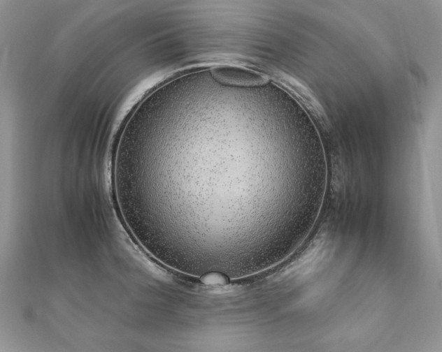 X0000110911188200906181336