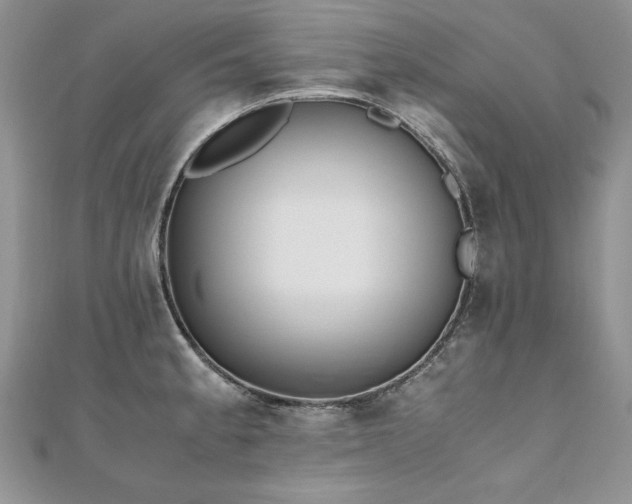 X0000110911189200906181336