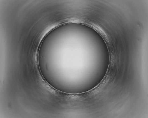 X0000110911190200906181336