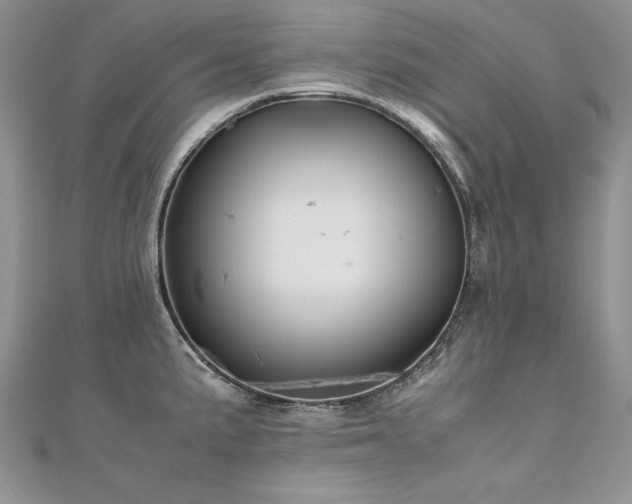 X0000110911191200906181336