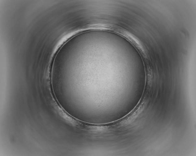 X0000110911192200906181336