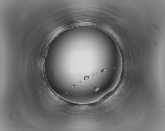 X0000110911193200906181336