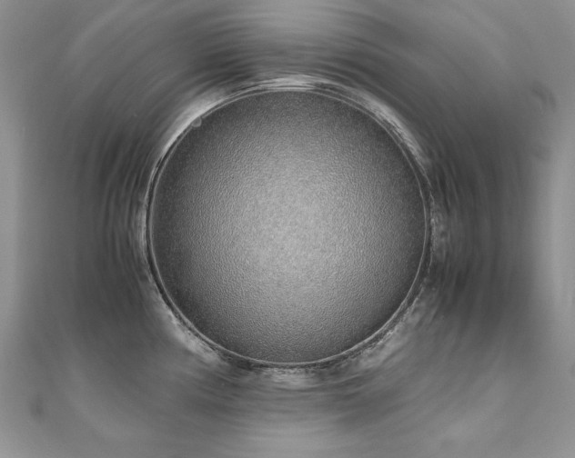 X0000110911194200906181336