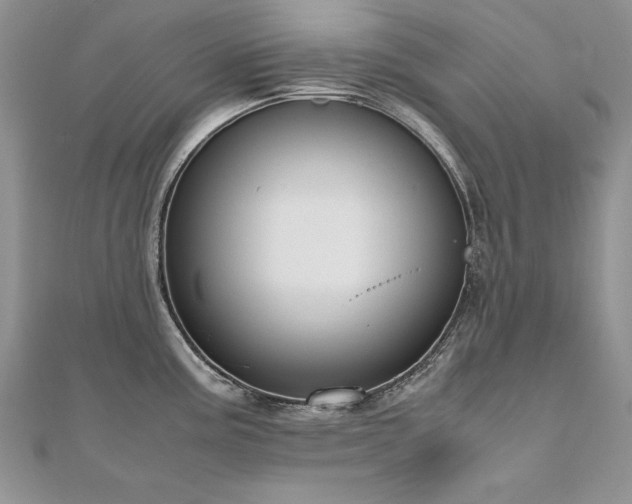 X0000110911195200906181336