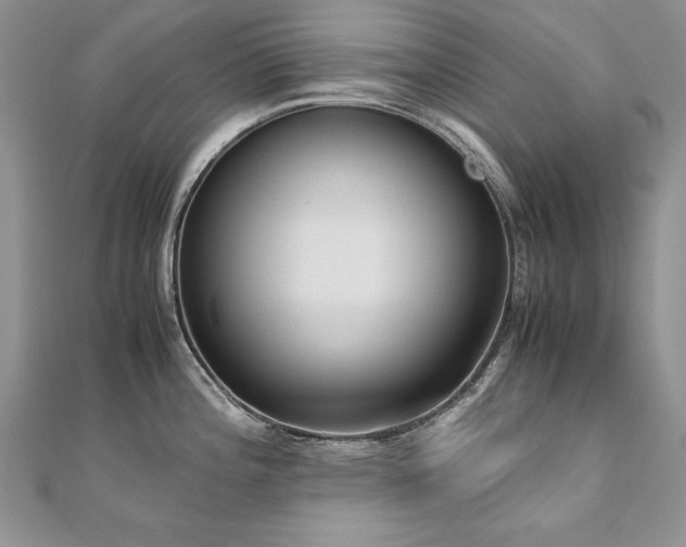 X0000110911196200906181336