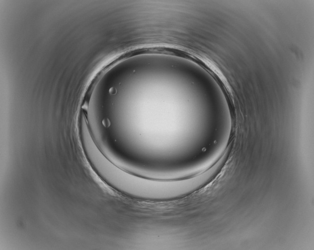 X0000110911197200906181336